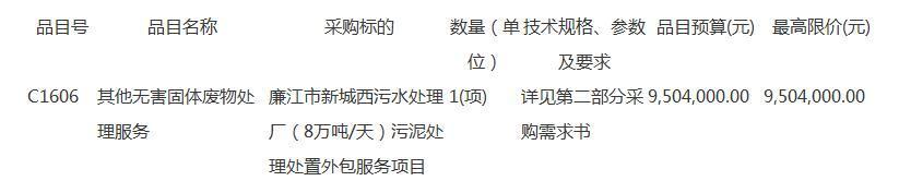广东省廉江市新城西污水处理厂(8万吨/天)污泥处理处置外包服务项目